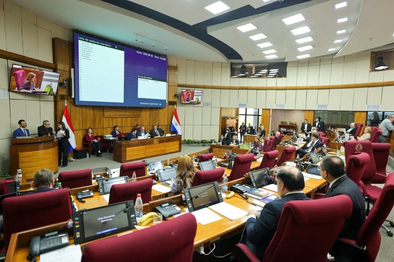 El Senado conformó la comisión que investigará al IPS y al Ministerio de Salud