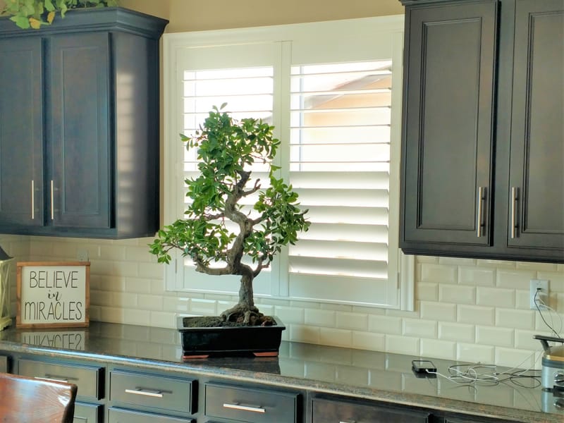 Plantation Shutters
