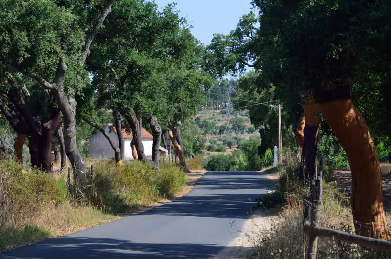 A calm coastal street for a weekend getaway