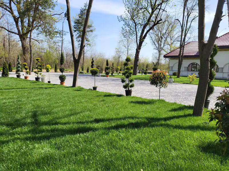 Gazon pentru Parcuri