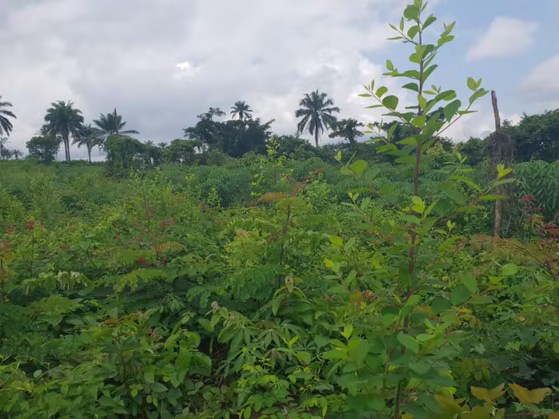 Benin–Onitsha Expressway Plots property image 4 in After Asaba International Airport