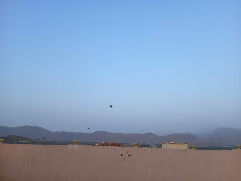 المنازل والشقق