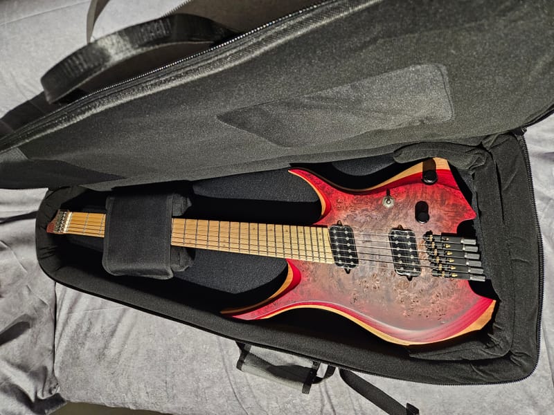 Détail 11 de NK Guitars 6 cordes 