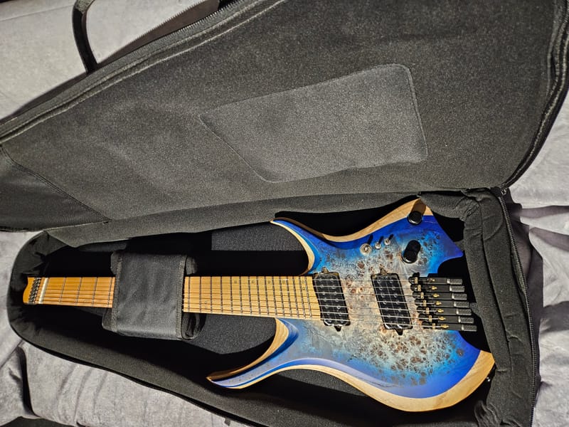 Détail 9 de NK Guitars 7 cordes