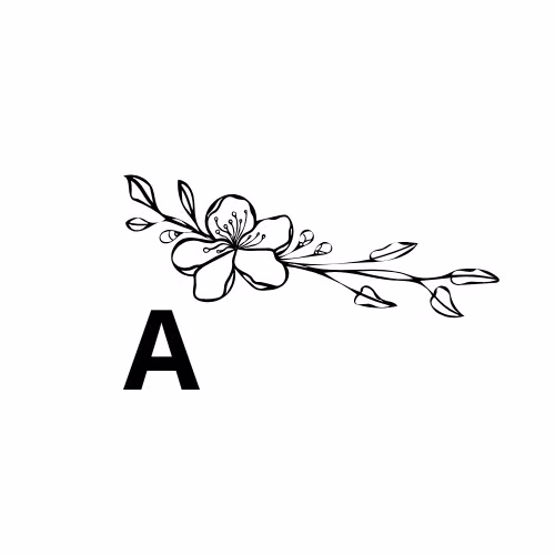 Logo Acreditación