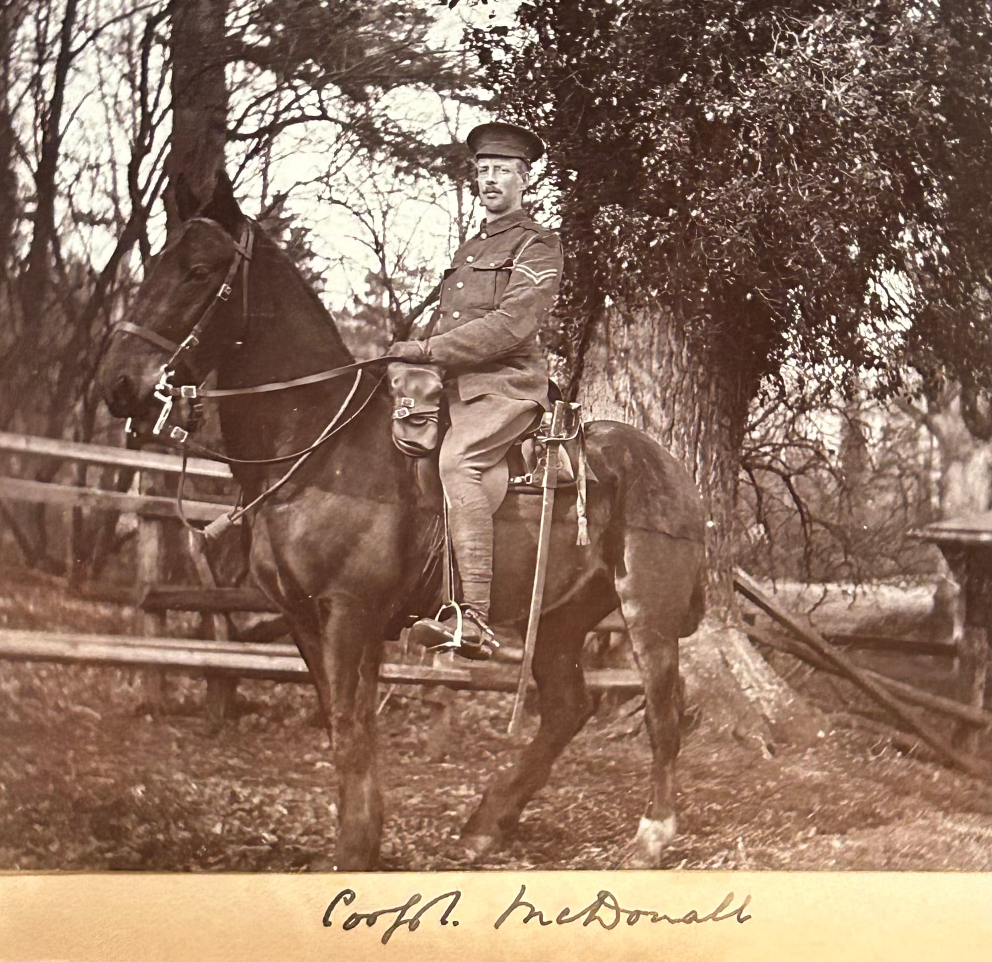 MacCONNAL, Connell. Corporal 2KEH. Additional photograph shown of him mounted at camp in 1915 (courtesy of Joanna Bacon and now in the author's collection).