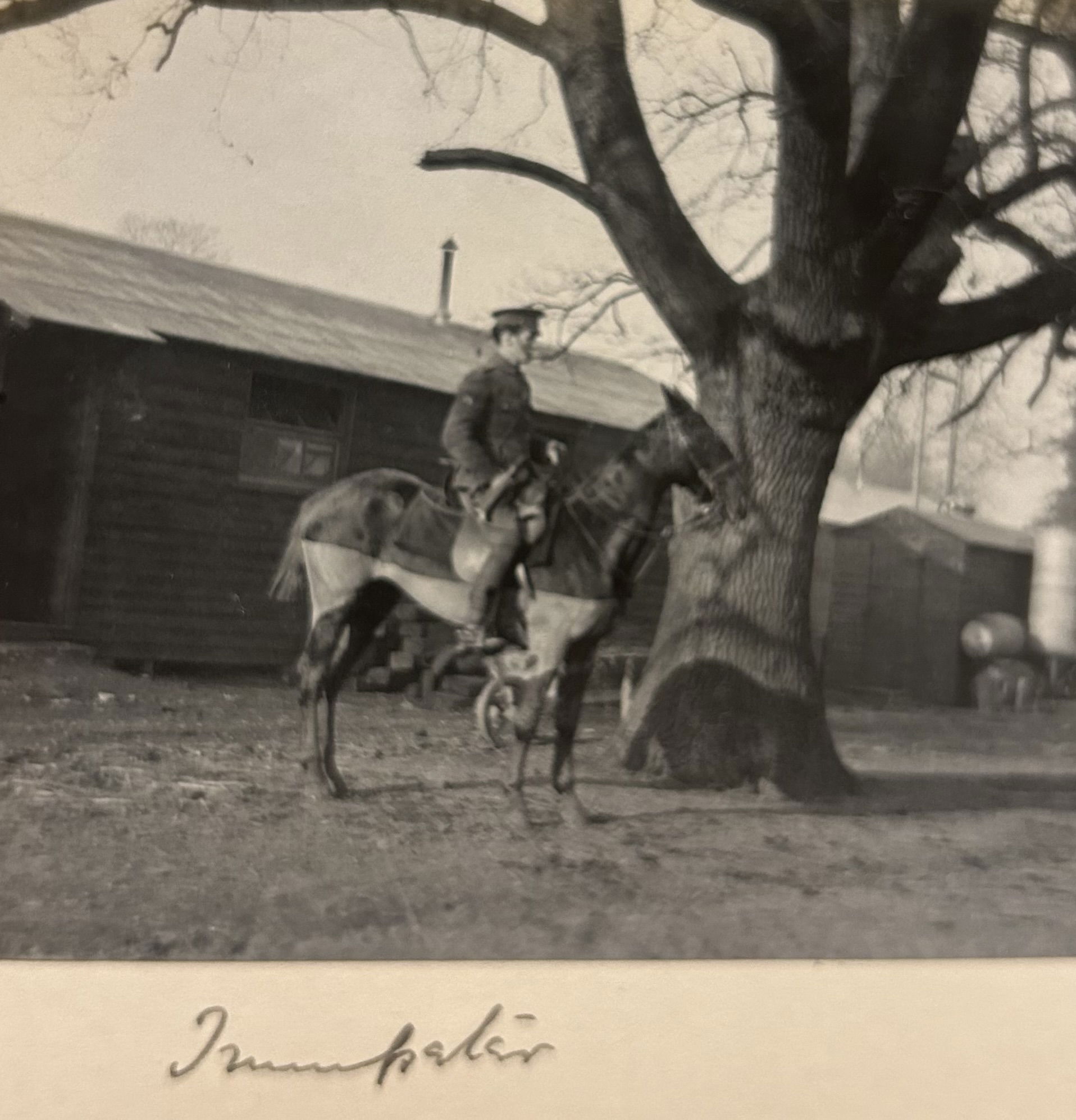 Trumpeter 2KEH. Langley Park camp Oct 1914. Trumpeter's badge visible on right upper arm. Photograph courtesy of Joanna Bacon and now in the author's collection.