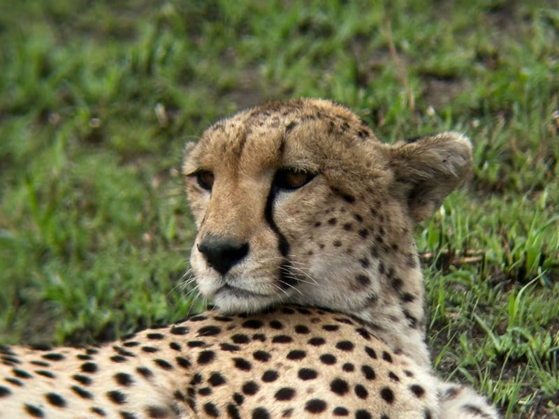 Serengeti National Park