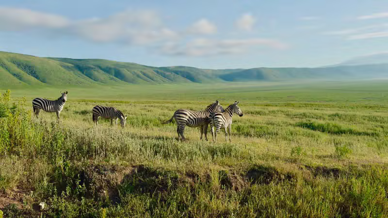 Ngorongoro Crater