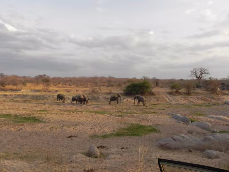 Arusha National Park