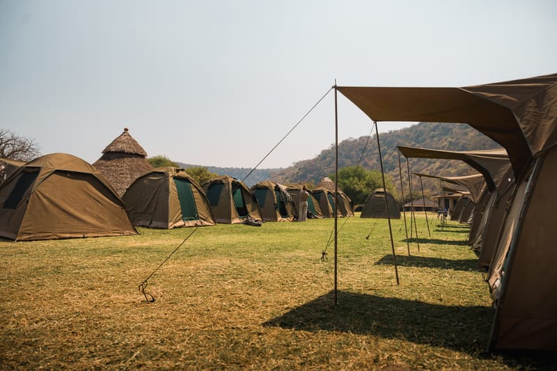 4 Days – Tanzania Camping Safari: Tarangire, Serengeti & Ngorongoro - Safari Gallery