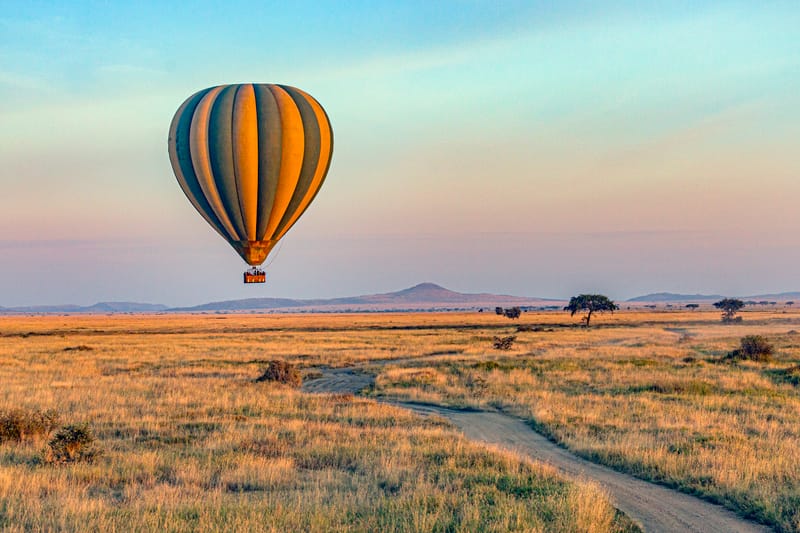 4 Days Luxury Tanzania Highlights Safari - Safari Gallery