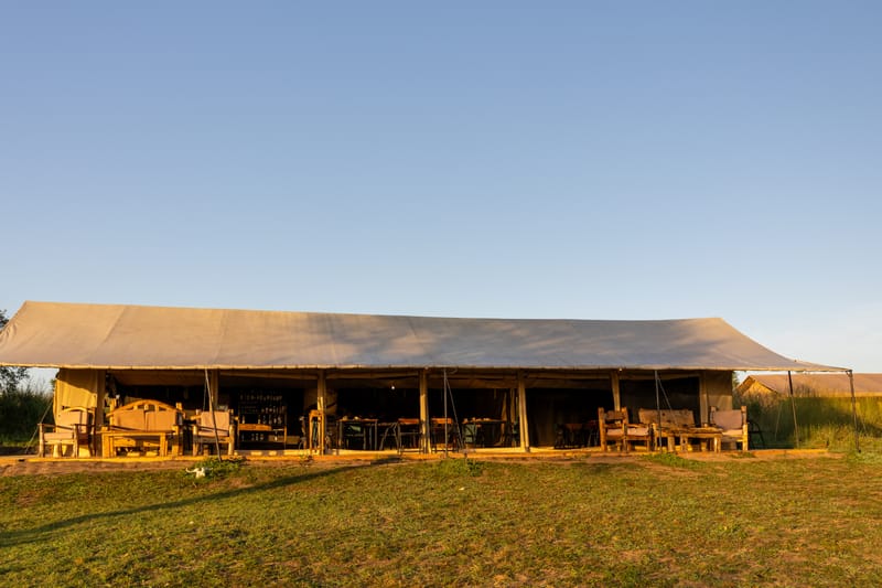 3 Days – Serengeti & Ngorongoro Safari - Safari Gallery