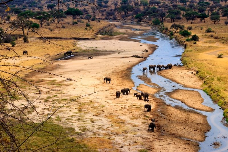 6 Days – Tanzania Classic Safari - Safari Gallery