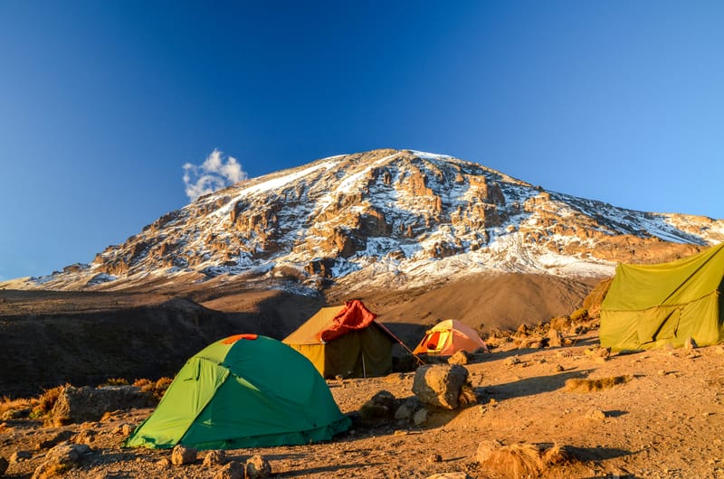 Lemosho Route Trekking - Safari Gallery