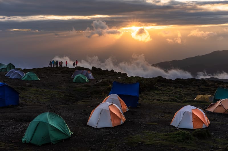 Lemosho Route Trekking - Safari Gallery