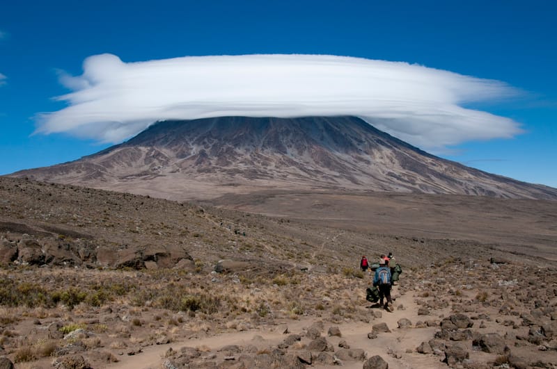 Lemosho Route Trekking - Safari Gallery