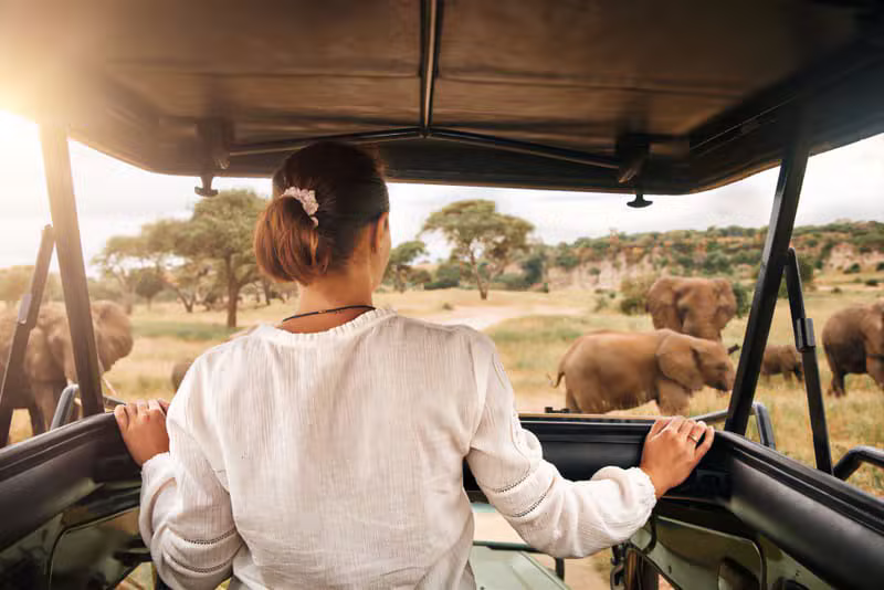 Tanzania Day Trips
