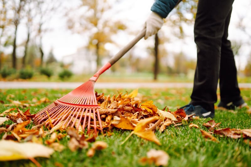 LaborRunner provides reliable landscaping and gardening labor in Los Angeles for yard cleanup, planting assistance, digging, lifting, hauling, and general outdoor labor.