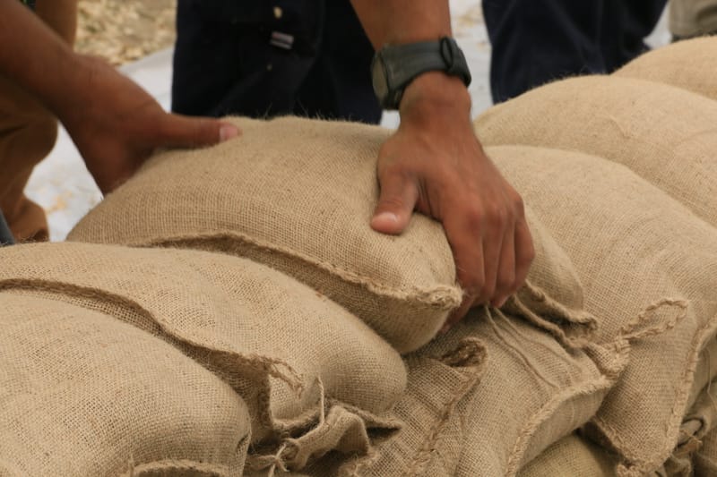 Get Extra Hands for Storm Preparation