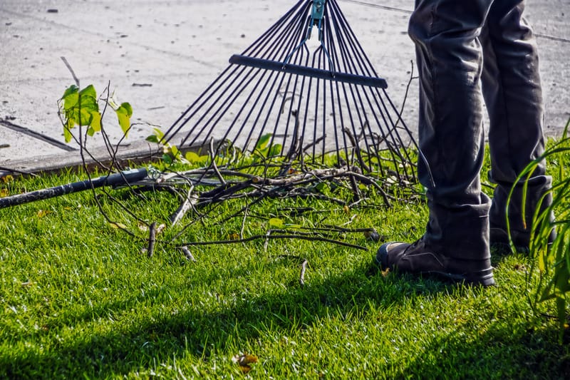 Reliable Labor for Storm Debris Cleanup