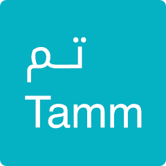 نظام تم