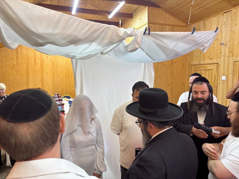 תמונה מגלריית הכתבה