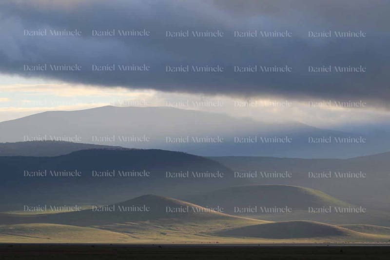 Landscapes