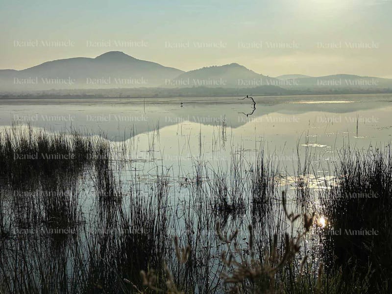 Landscapes