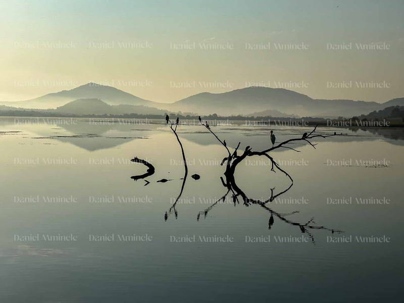 Landscapes
