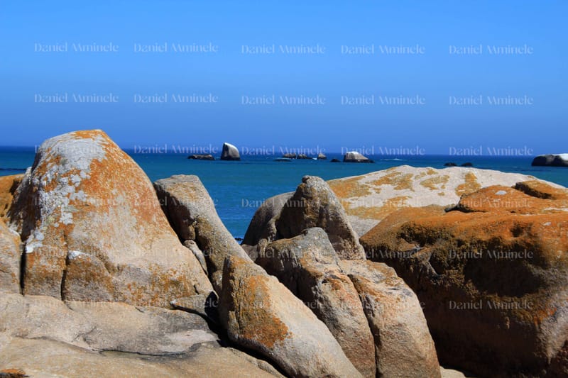 Landscapes