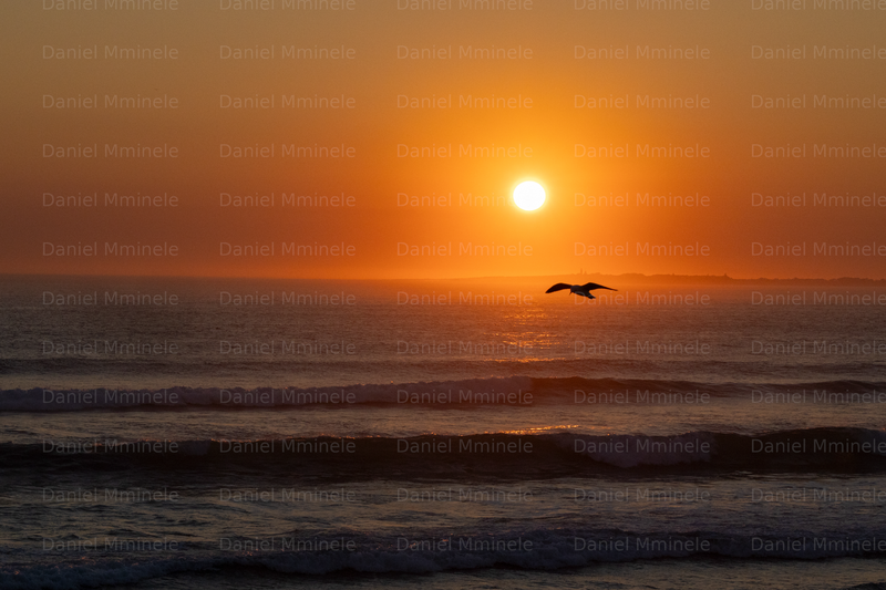 Night Photography