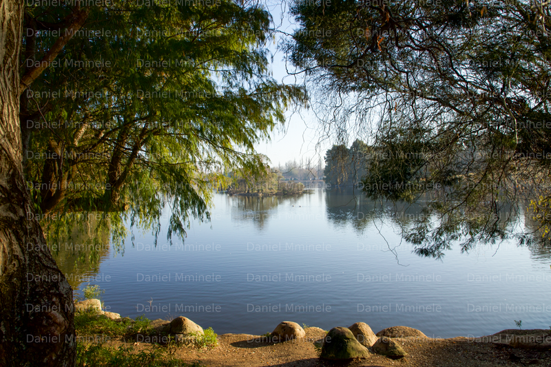 Landscapes