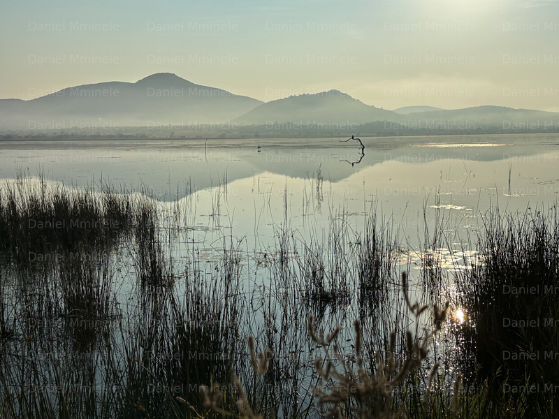 Landscapes