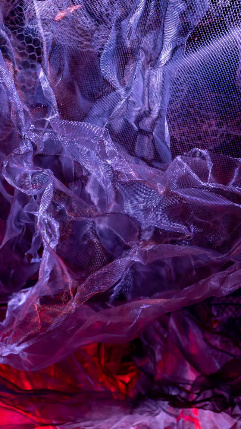 Pulse Archive artwork by David Chen