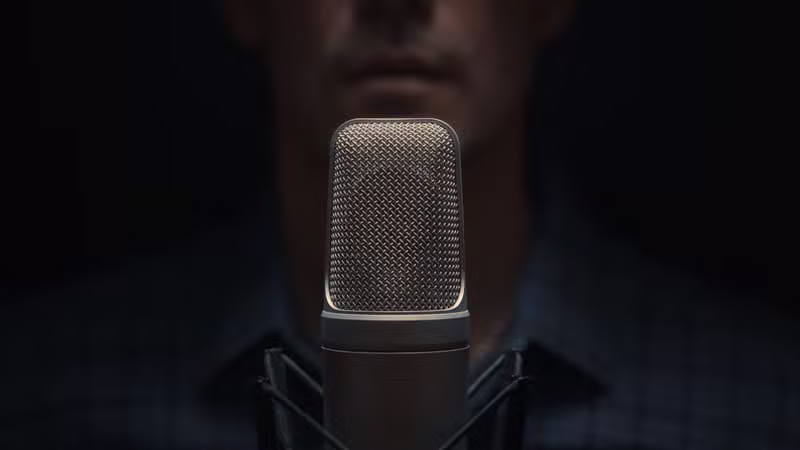 Professional recording studio microphone