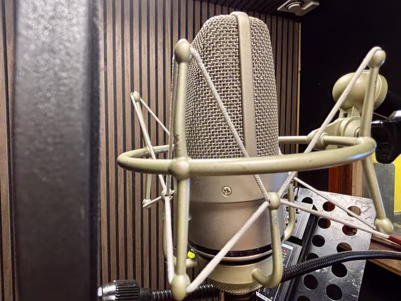 Close up of a professional condenser microphone