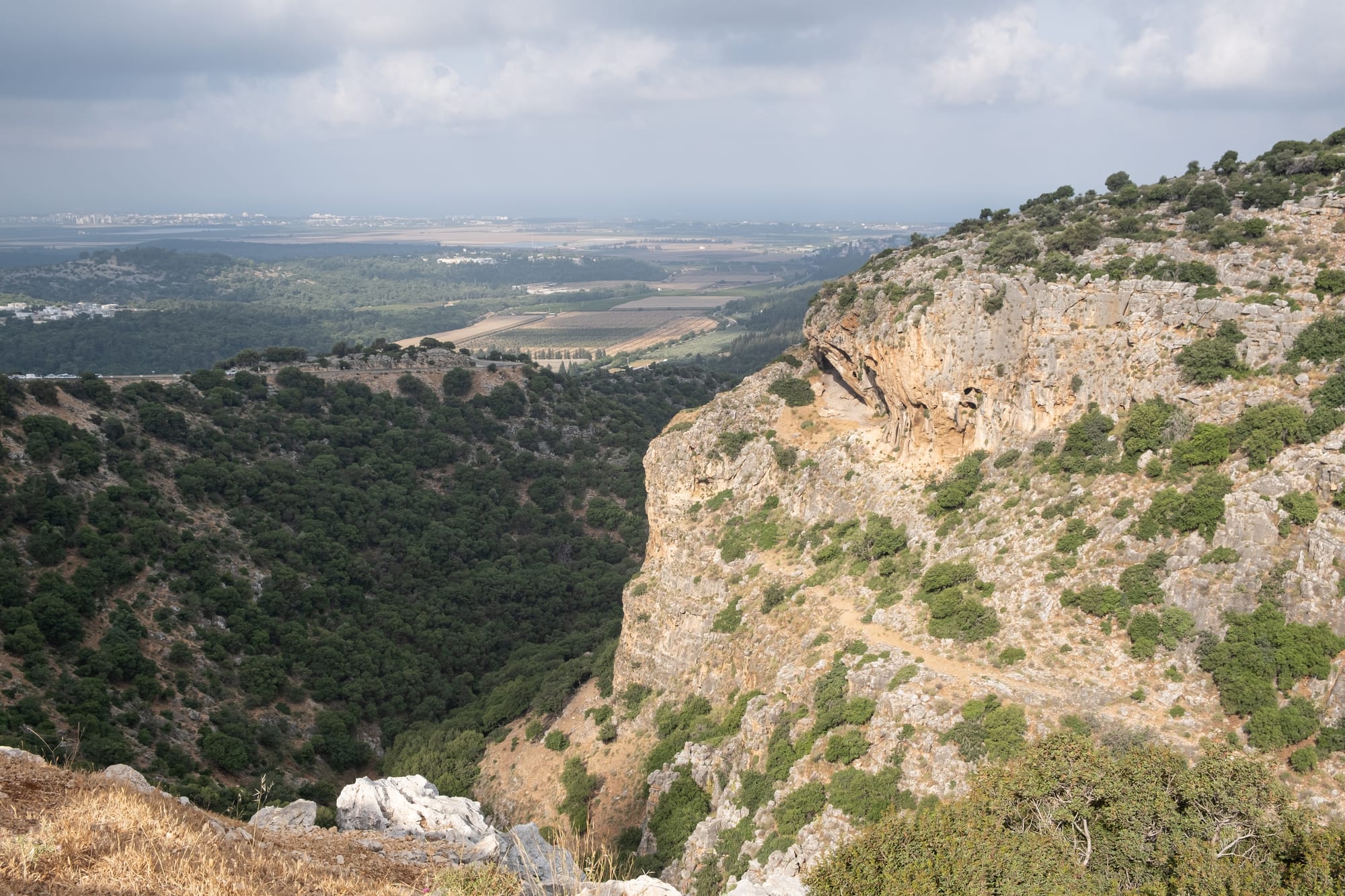 מהמרפסת למשתלת הקו הירוק