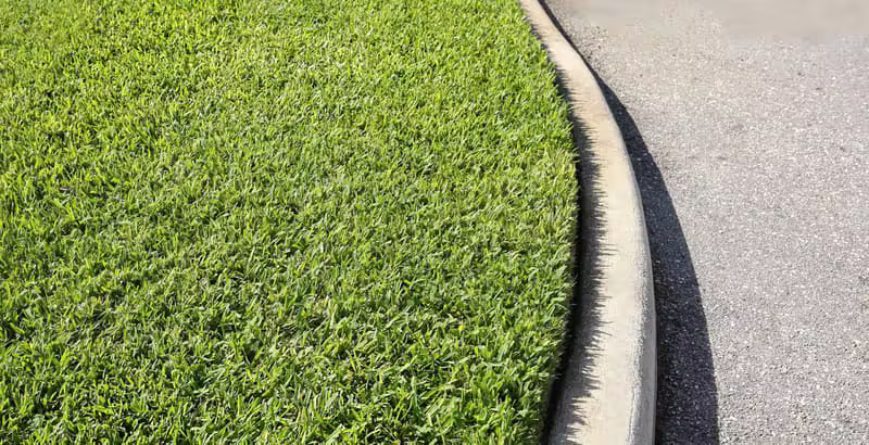 تركيب بندورة