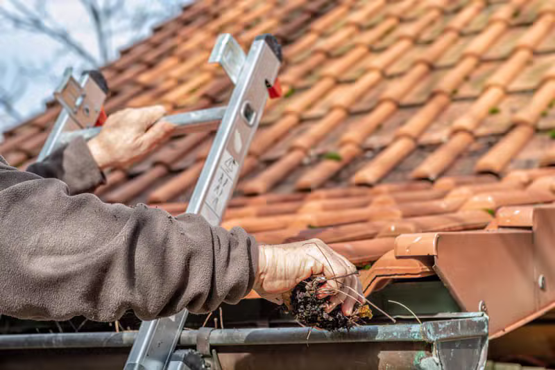 Roof & Gutter Cleaning