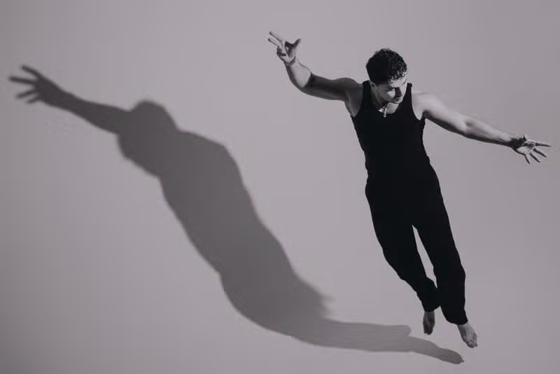 Artist performance under spotlight