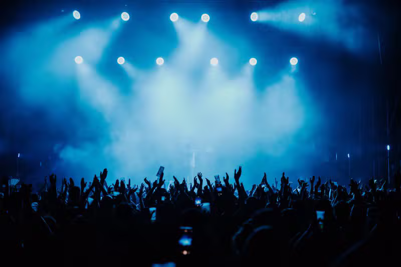 Concert audience experience