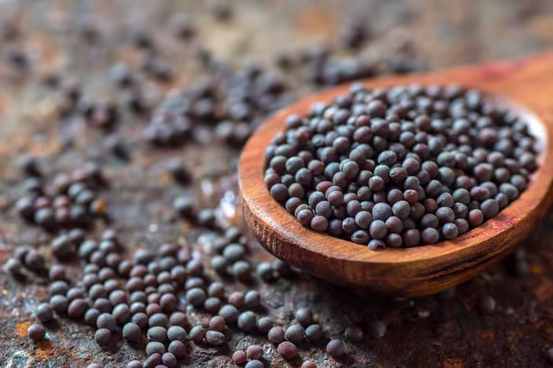 VERLOO Foods - African food products, dry foods, and spices