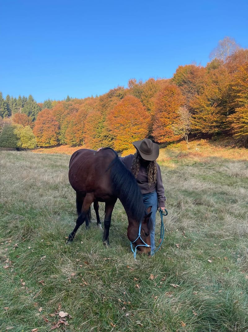 Cavallo a FarmAus