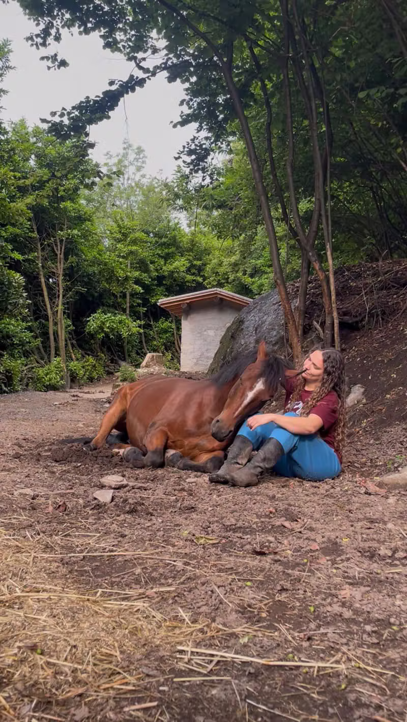 Persona che accarezza un cavallo in scuderia