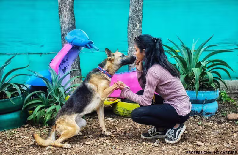 Diksha observing canine behaviour