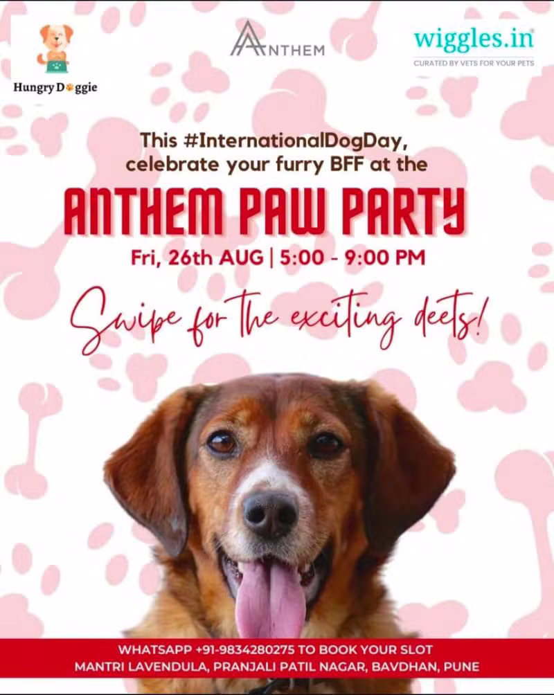 Anthem Paw Party