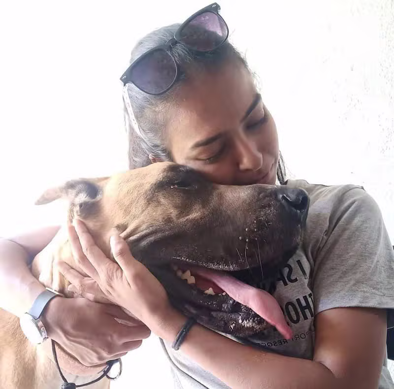 Diksha K9 Gallery Image 7