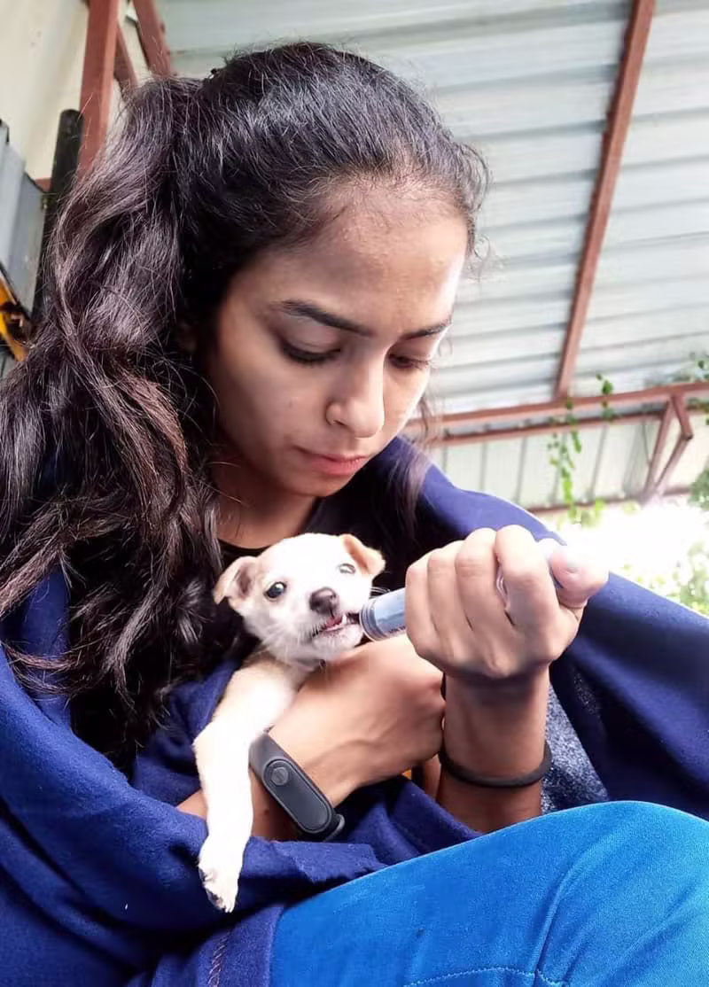Diksha K9 Gallery Image 8