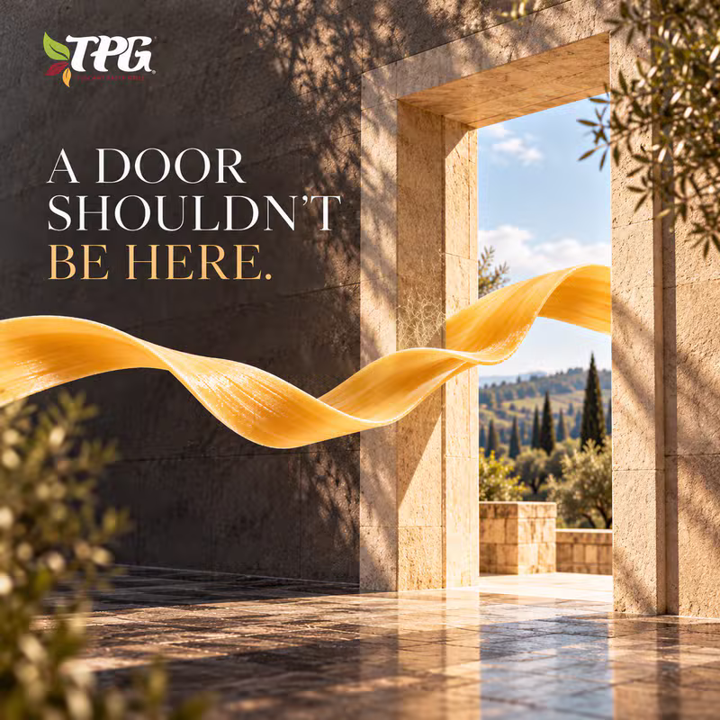 TPG — A Door Shouldn't Be Here key visual